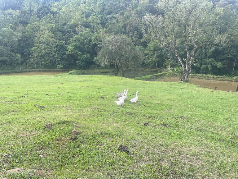 Sítio Refúgio da Serra Canela – Cabana na natureza RS